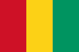 Guinee drapeau